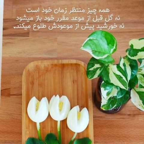 دانلود آهنگ هایده به نام مادر (هوش مصنوعی)